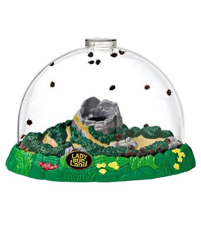Ladybug Land – Through the Moongate and Over the Moon Toys