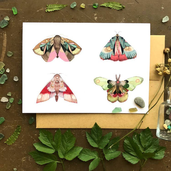 Polanshek of the Hills Notecards